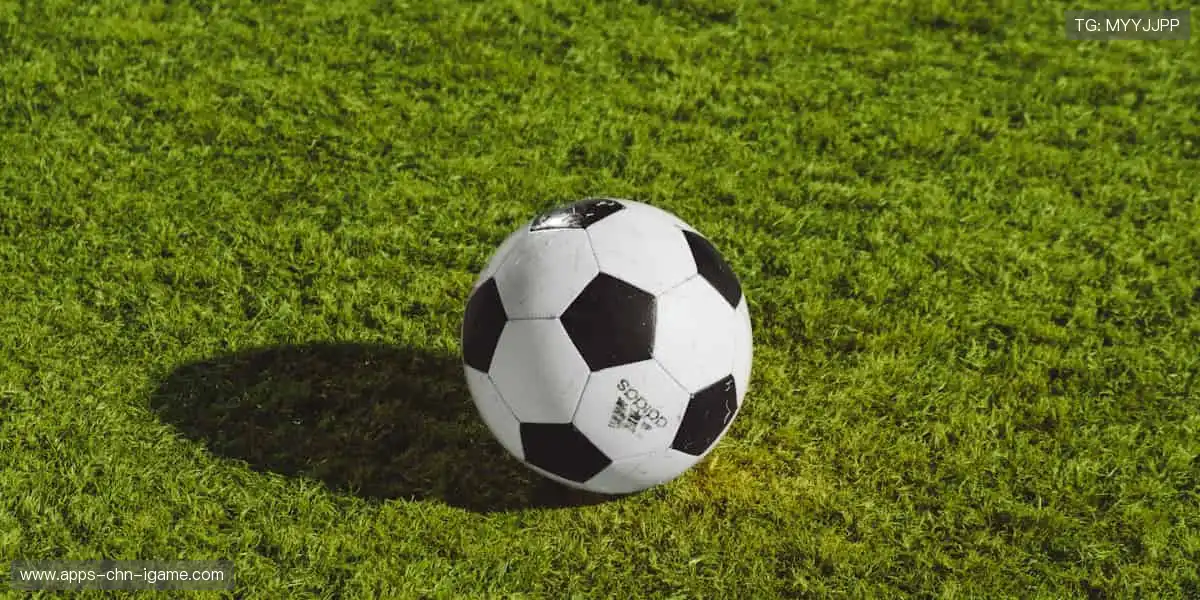 🏋️ 专业品质，助力每一次突破！💪